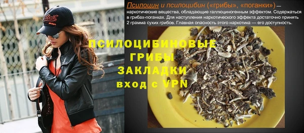 твердый Алзамай