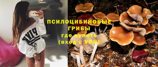 дурь Алексеевка