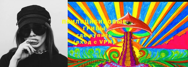 твердый Алзамай
