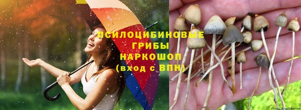 дурь Алексеевка