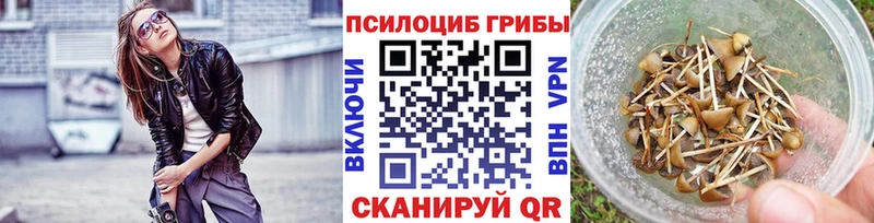 Псилоцибиновые грибы Magic Shrooms купить наркотики сайты это Telegram Донской
