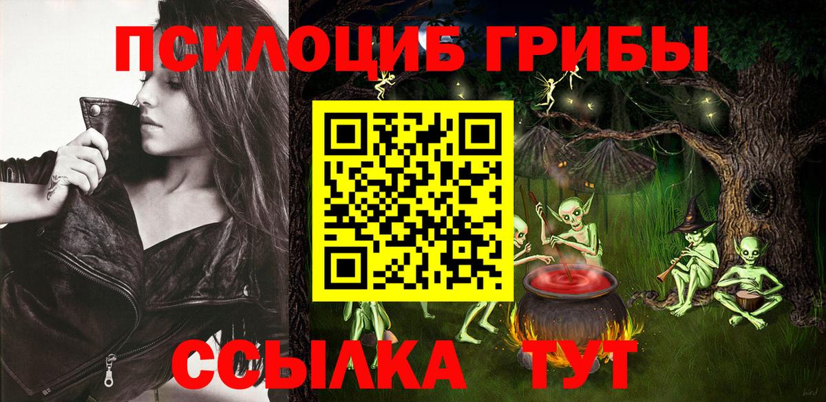 Галлюциногенные грибы Psilocybine cubensis  Вход с VPN  Донской 
