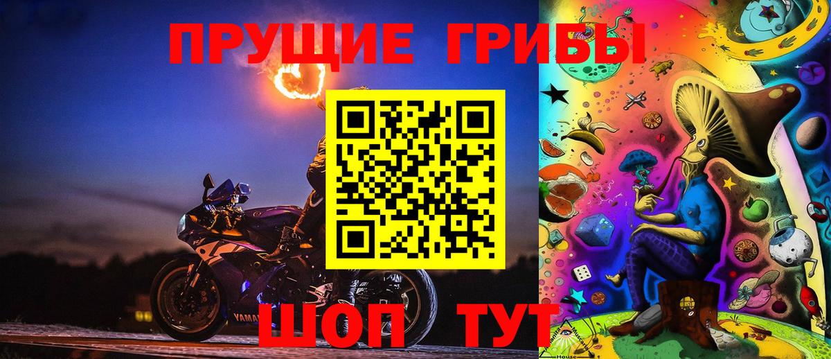 Псилоцибиновые грибы Psilocybe Донской