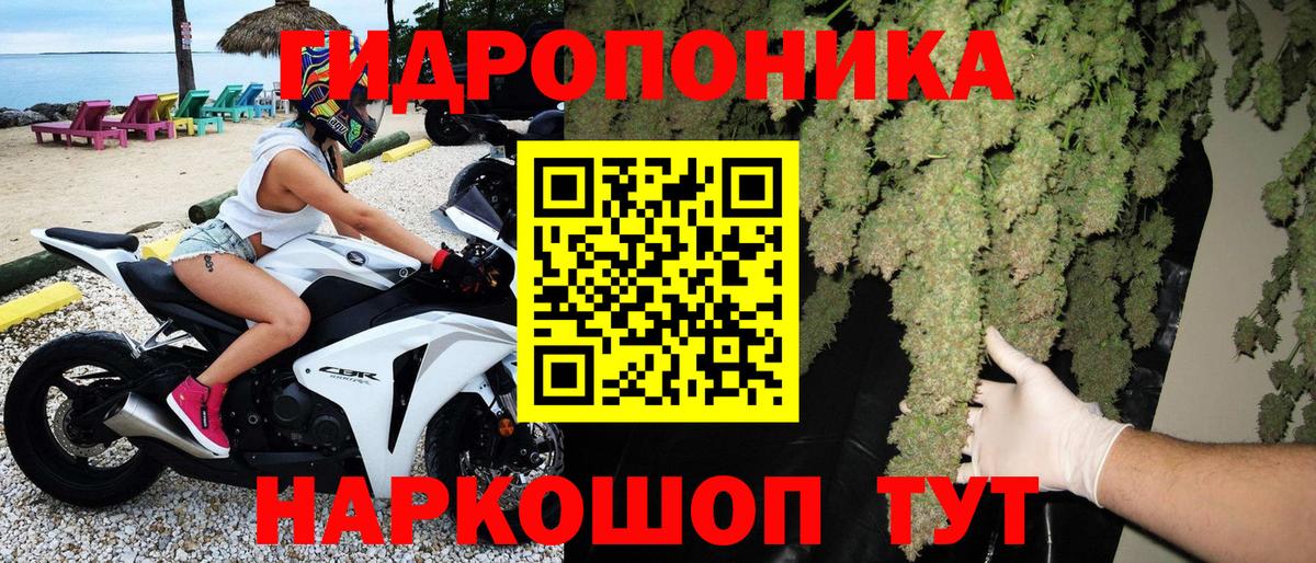 Бошки марихуана White Widow Донской